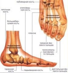 Упражнения для лечения плоскостопия